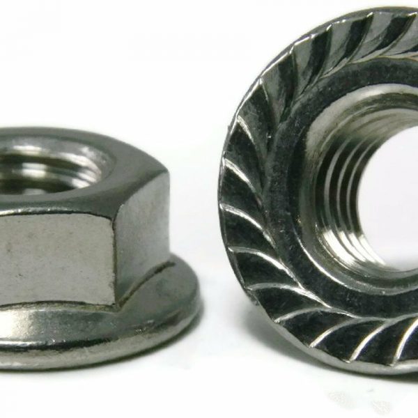M6-X-100P-HEX-SERRATED-FLANGE-NUTS-BZP-METRIC-DIN-6923-CL6-BZP-301841351807